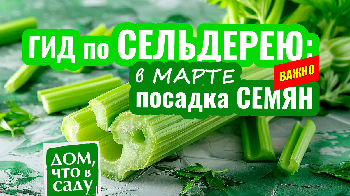 Дом, что в саду