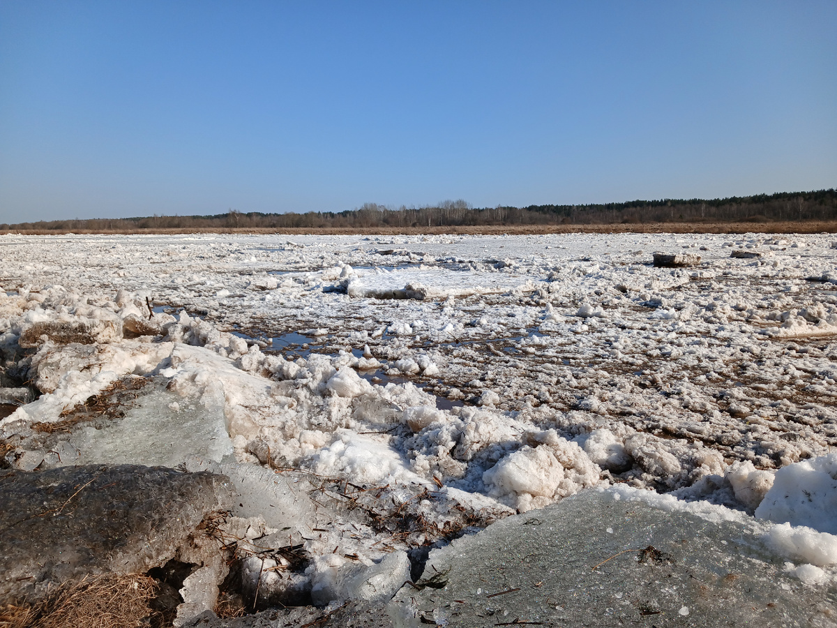 Все фото от 14.03.2026