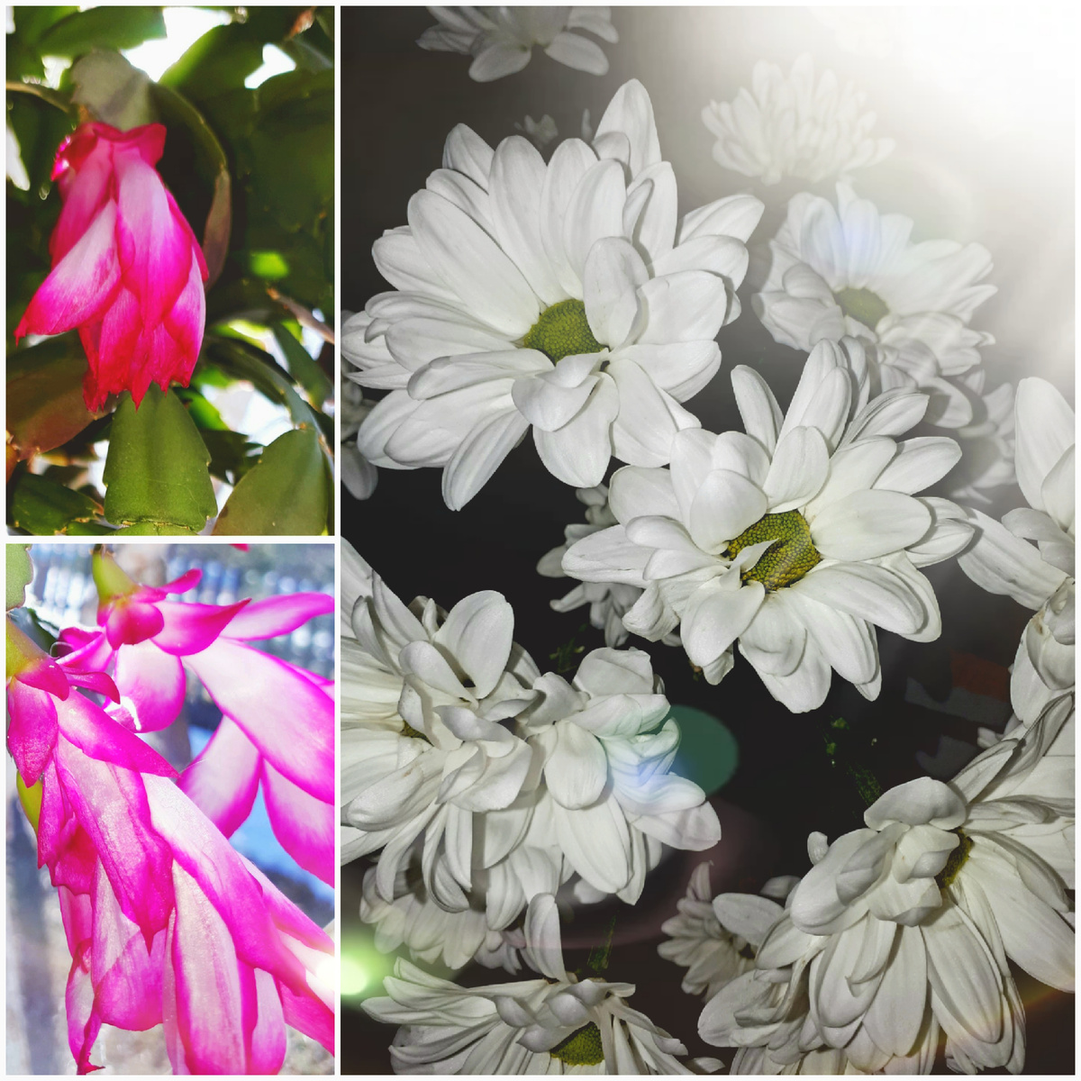 Фото автора 14.03.2026г.