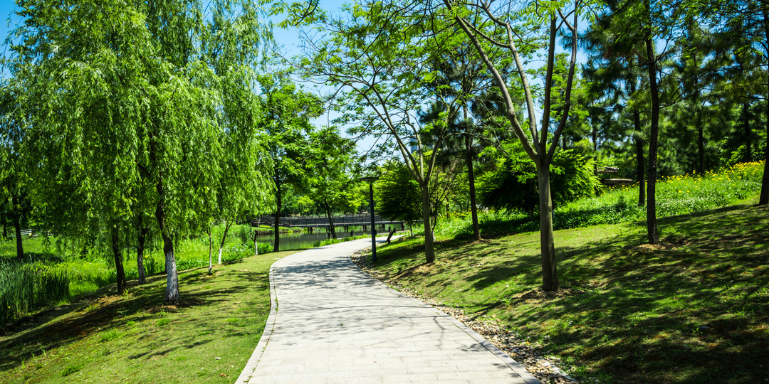 В Петрозаводске предложили благоустроить парк Слюдяной фабрики