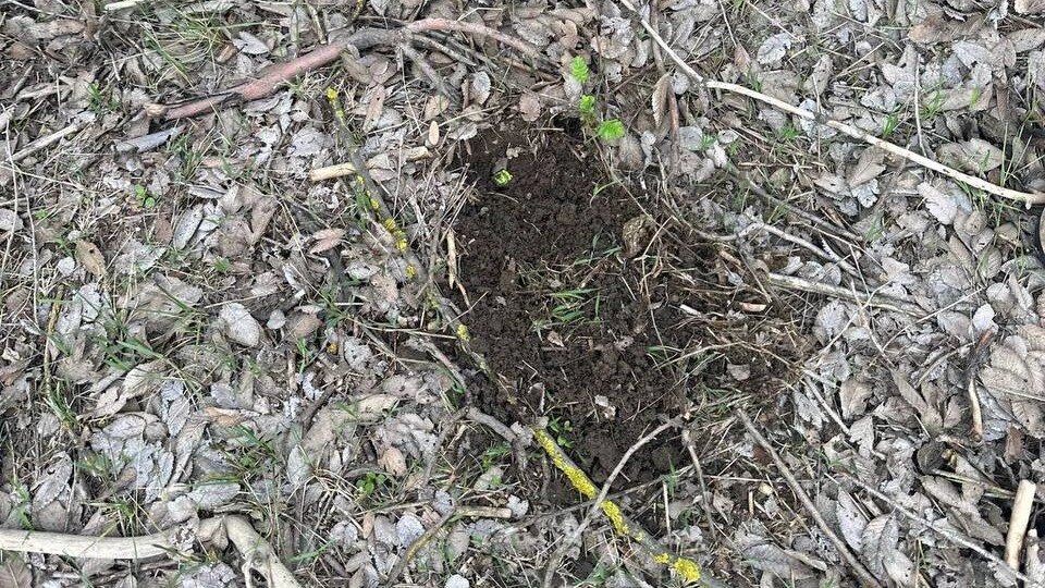    Фото: ГУ МВД РФ по РО