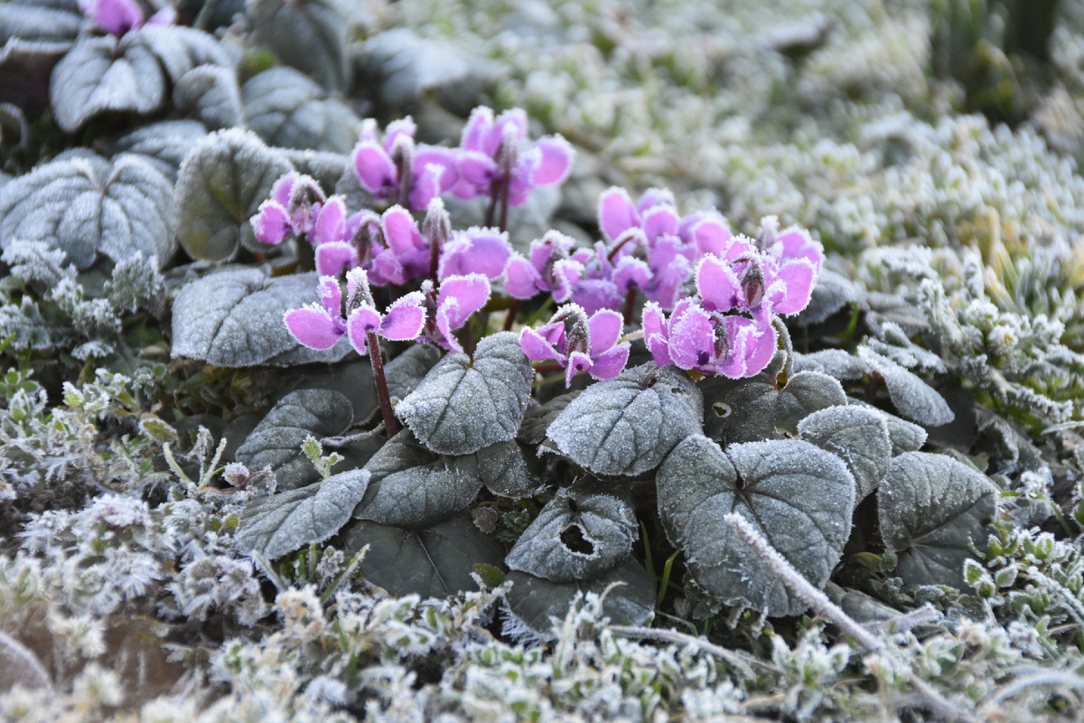 Фото автора, 1 марта 2026 год