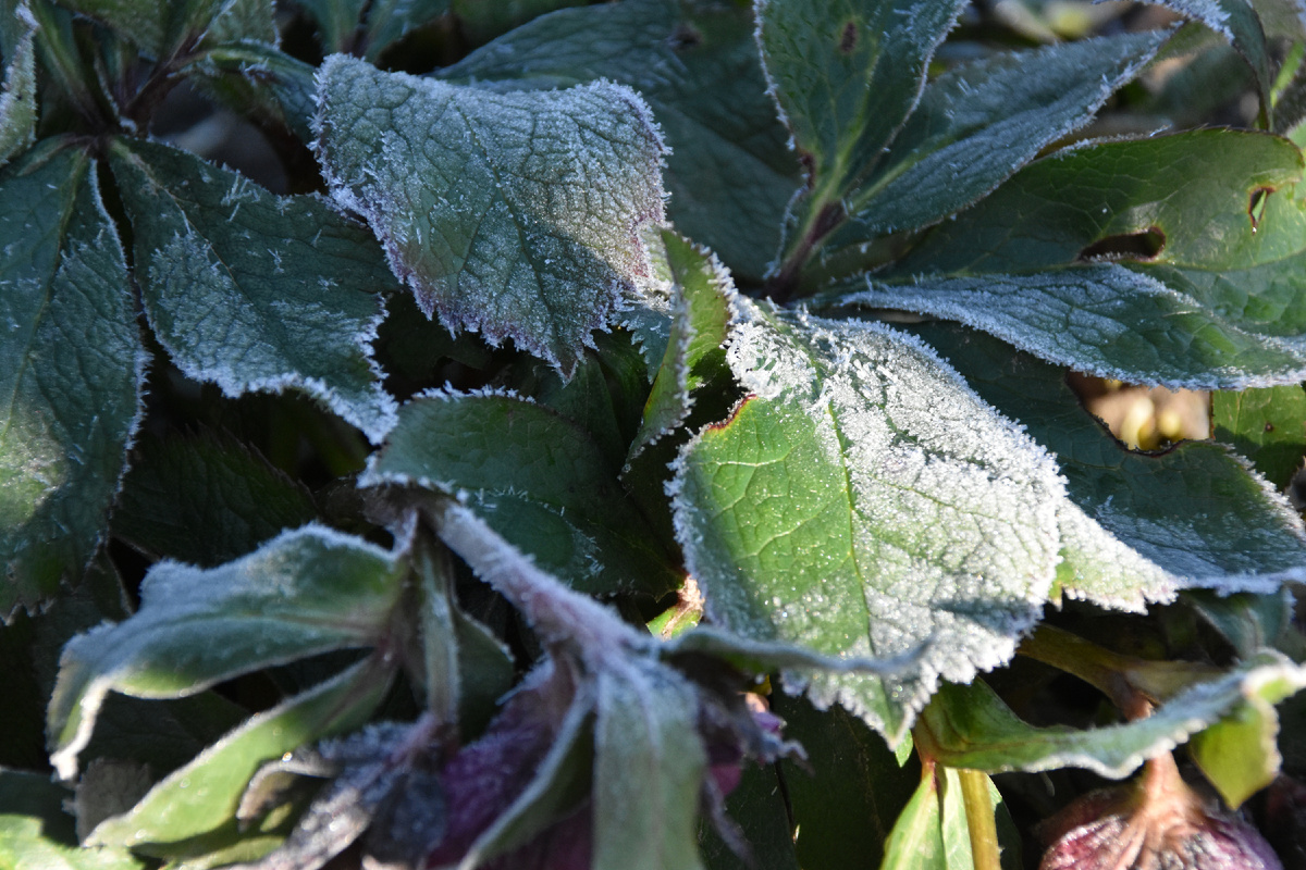 Фото автора, 1 марта 2026 год.
