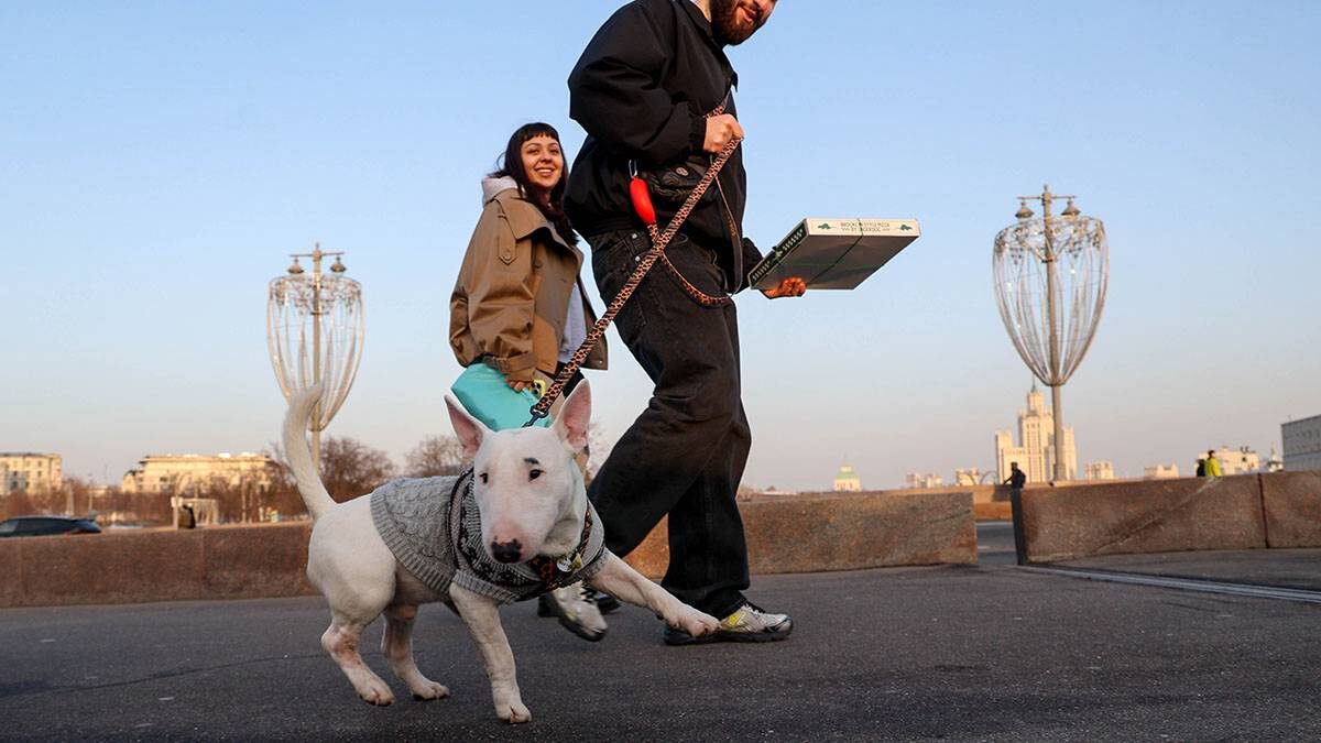    Фото: Ярослав Чингаев / АГН Москва