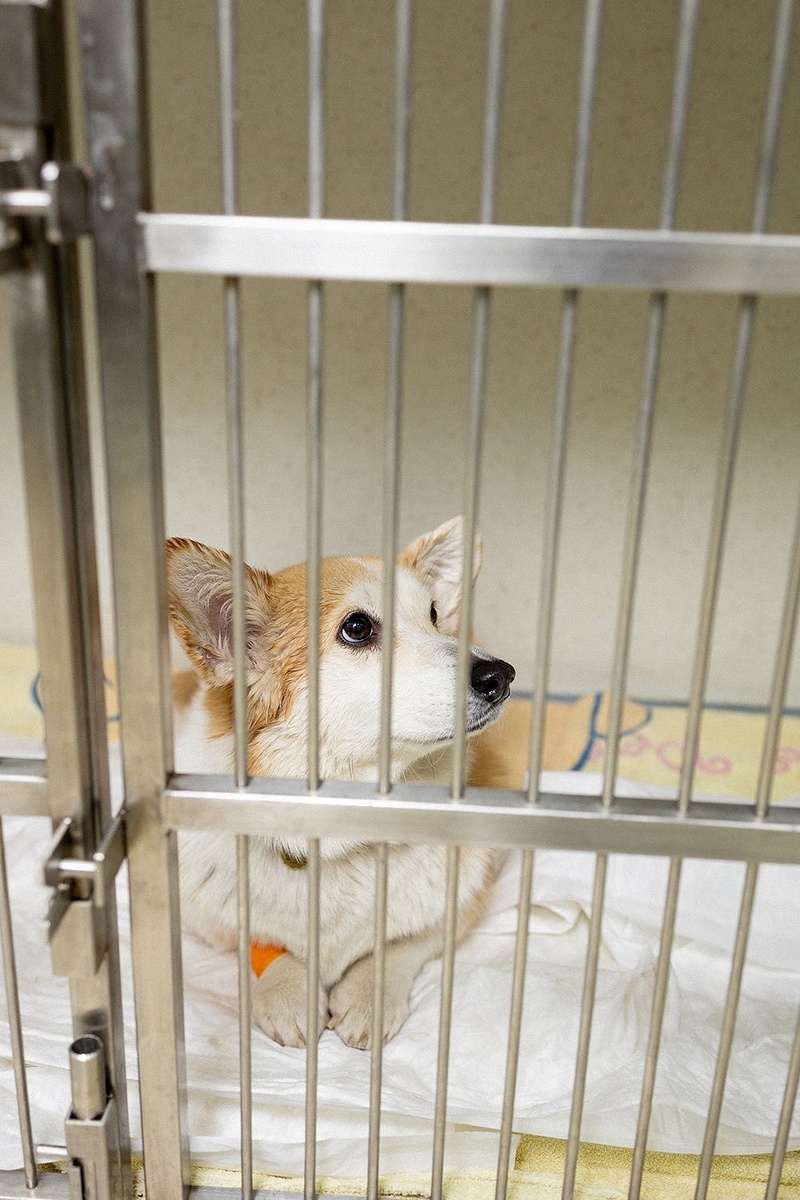 Создать карусель