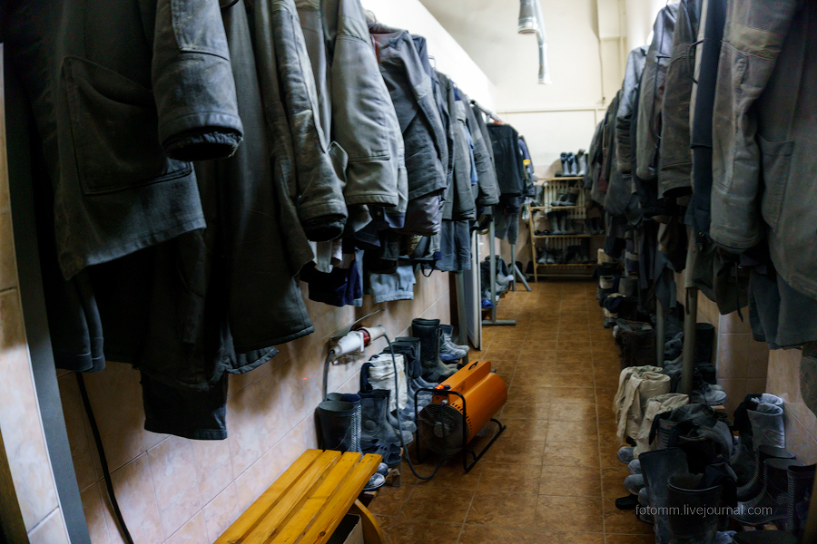 Фото в свободном доступе из интернета. 