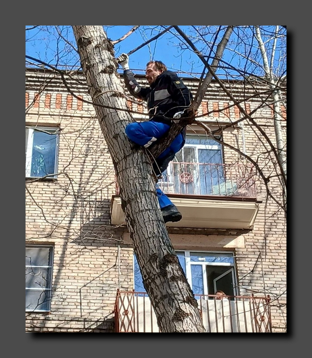 Скриншот https://t.me/ostorozhno_moskva