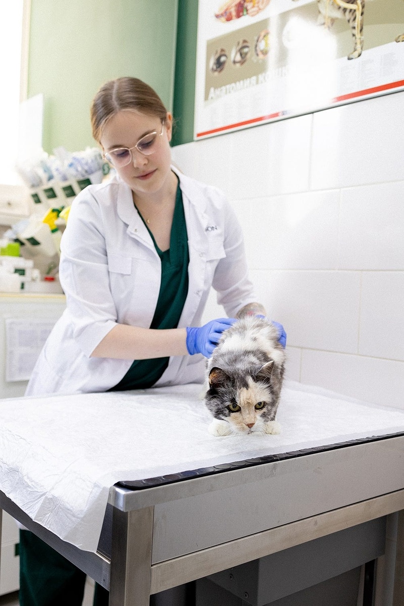 Создать карусель