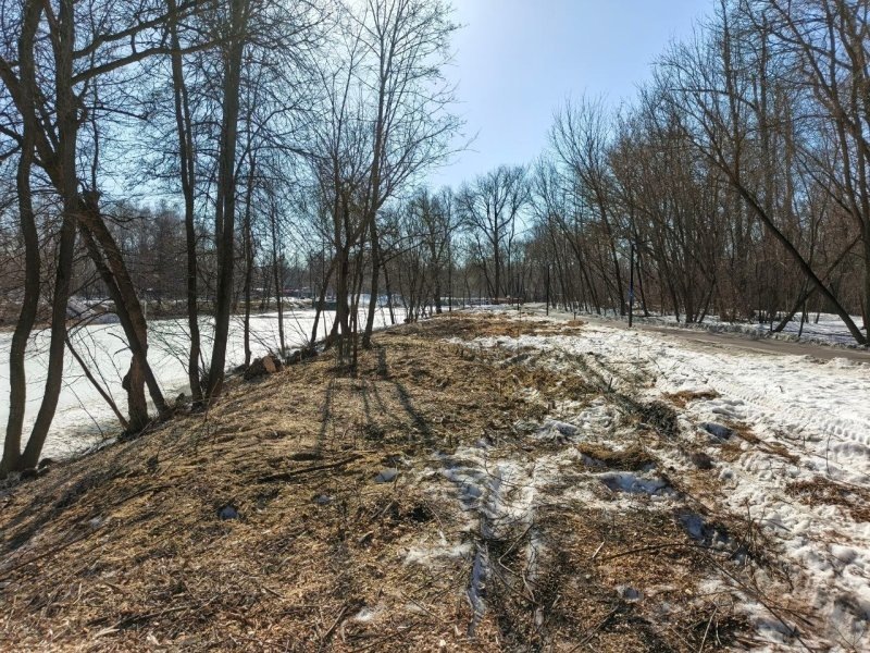     © фото - страница ВК Максима Левина