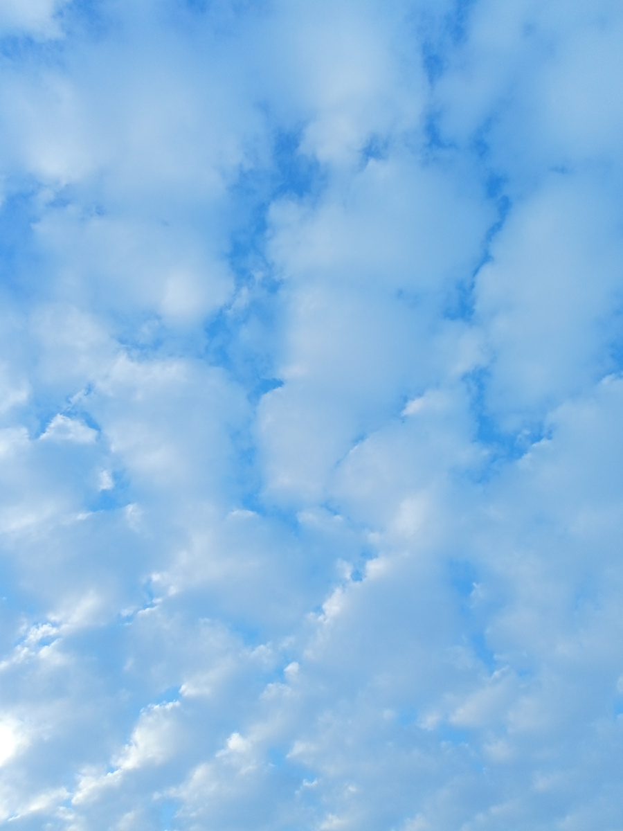 Фото автора канала "Волнушка"