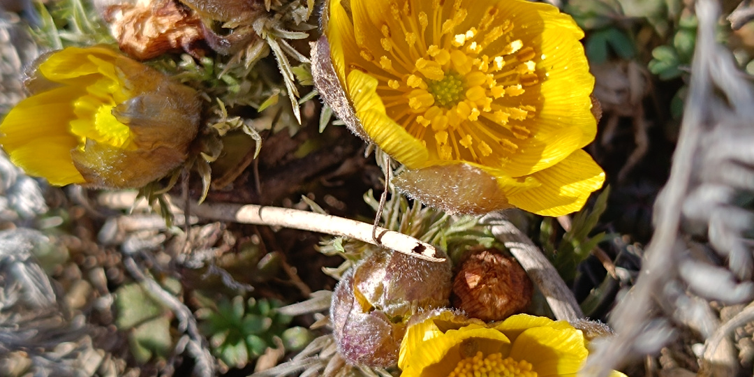 Айда в поля