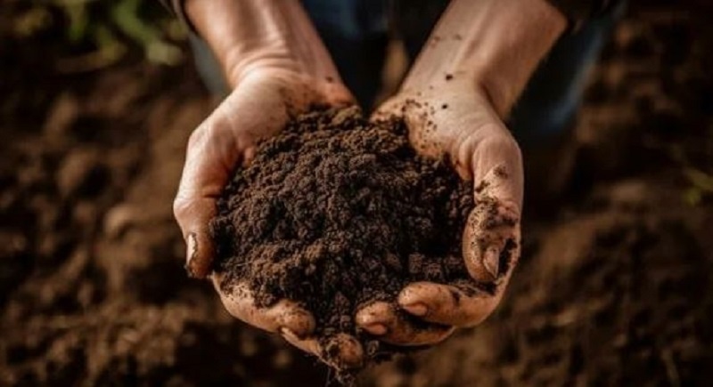 Плодородия почвы нужно добиваться с умом.