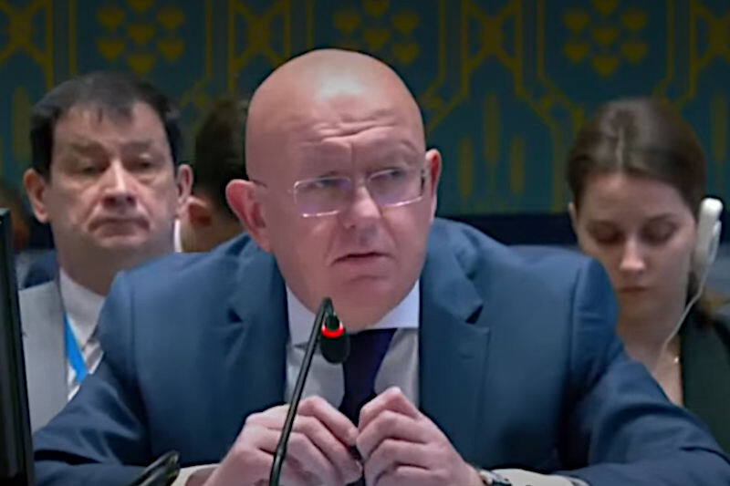    Представитель Российской Федерации при ООО Василий Небензя