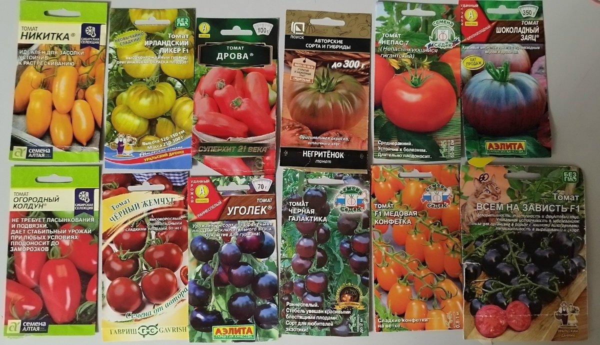В верхнем ряду пять сортов, кроме Никитки новые. Посмотрим что они из себя представляют. Никитку сажаю уже 3-й год, очень нравится сорт. Растрескивается, правда, но довольно устойчив к болезням и плодоносит до самых заморозков, Уходит из теплицы в последних рядах. Нижний ряд, кроме Огородного колдуна, это все те мелкоплодные томаты, которые сажала в прошлом году, хорошие сорта, тоже очень понравились., Особенно сорт Черный жемчуг. Сорт Всем на зависть сажаю давно, рекомендую. 