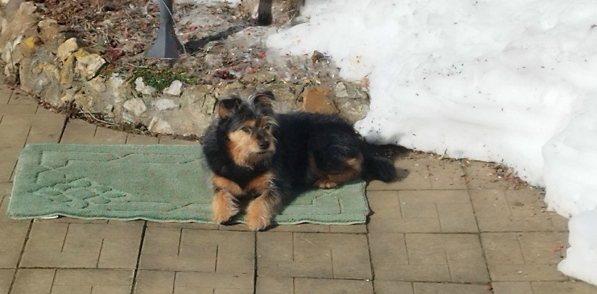 Наконец-то можно нагуляться вволю!