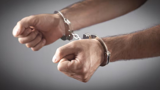 Фото: ru.freepik.com