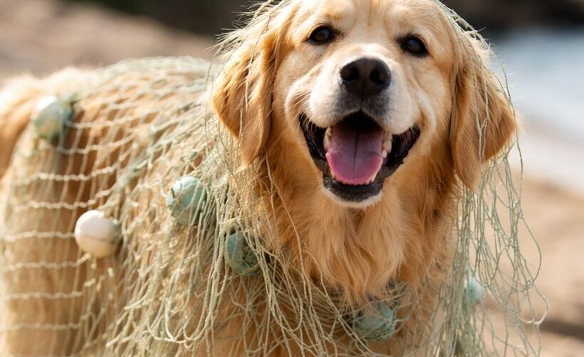    Фото: создано ИИ