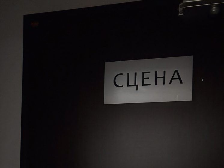     К 150-летию СТД в городе создали Совет по негосударственным театрам. Фото: архив МК в Питере