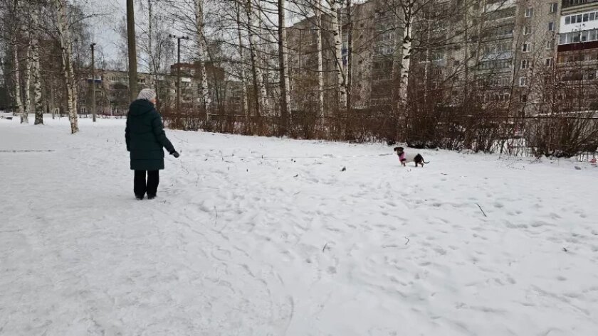    Фото prochepetsk.ru