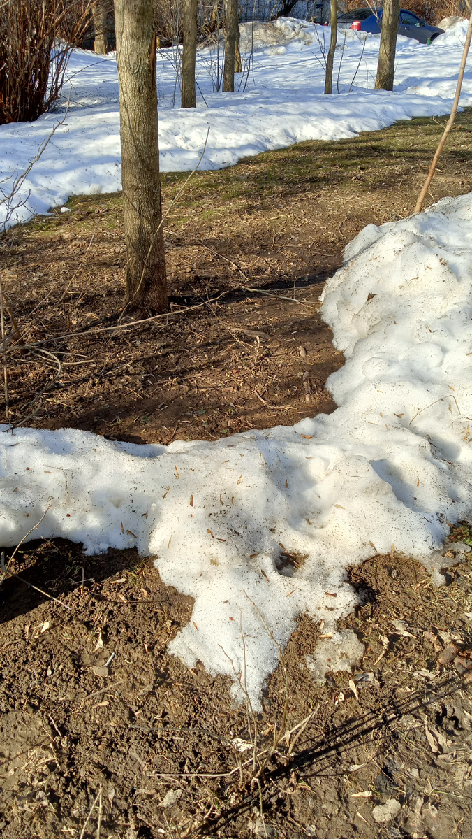 Фото автора.