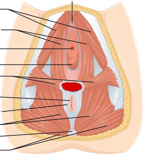 ������� ������ - ��� ��� � ����.