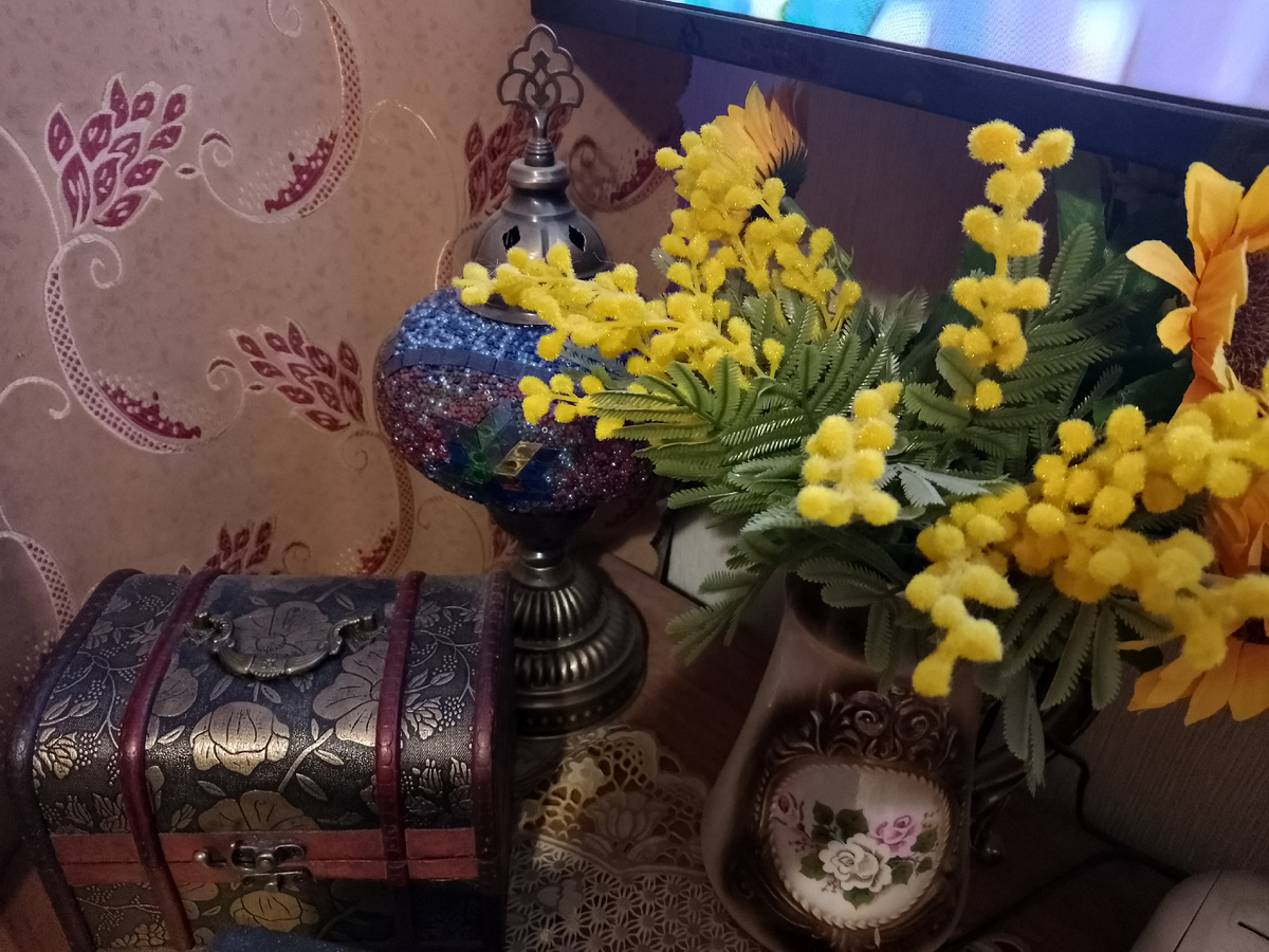 Фото автора, мои мимозы