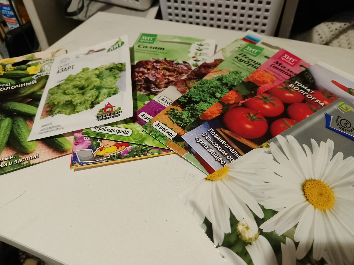 Фото автора, семян у меня полно