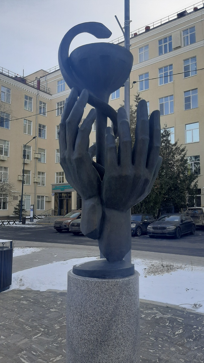 Фото автора: Россия, Москва, СВАО, ГБУЗ «Городская клиническая больница им. А.К. Ерамешанцева».