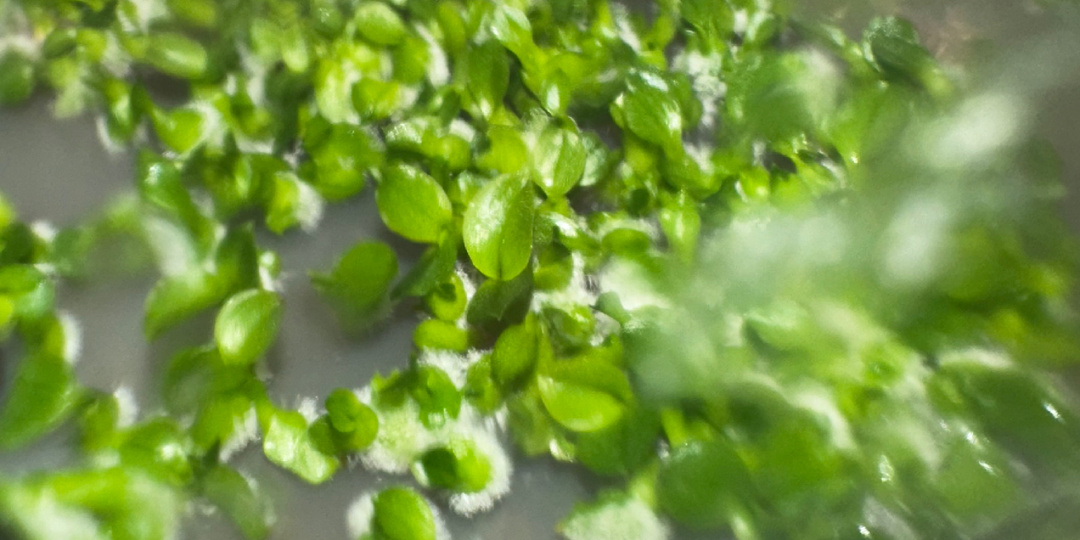 Хочу все бросить!