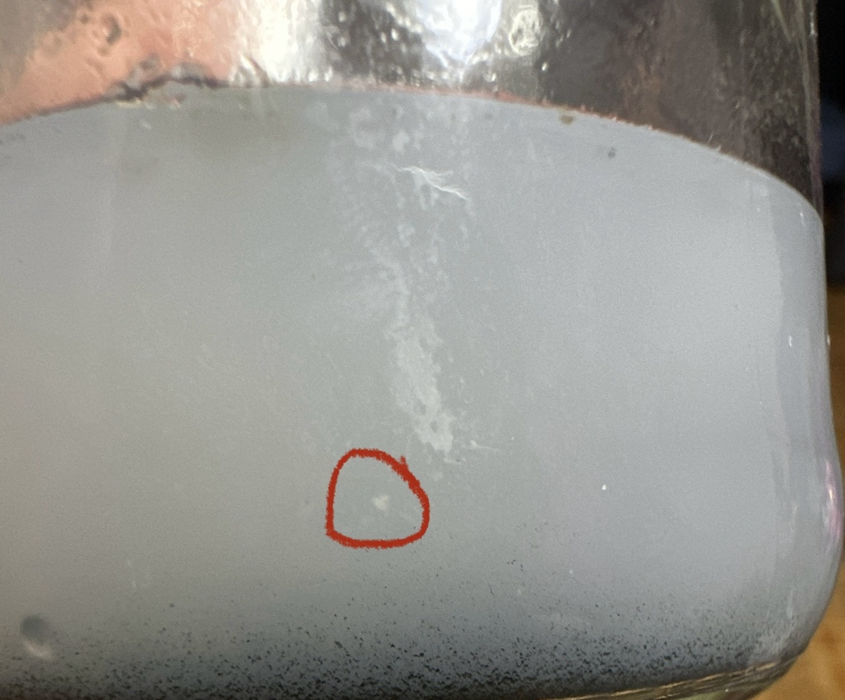 Вот этот малюсенькая белая точка это плесень, внутри среды!