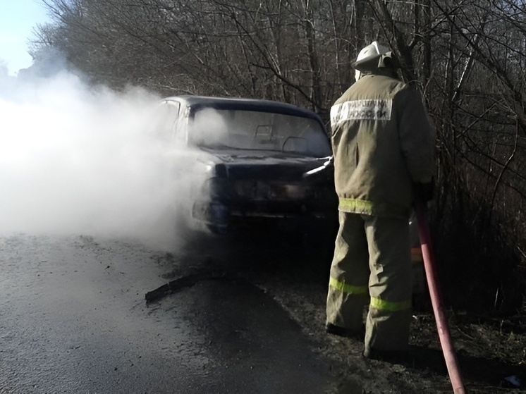     Фото: ГУ МЧС России по Воронежской области