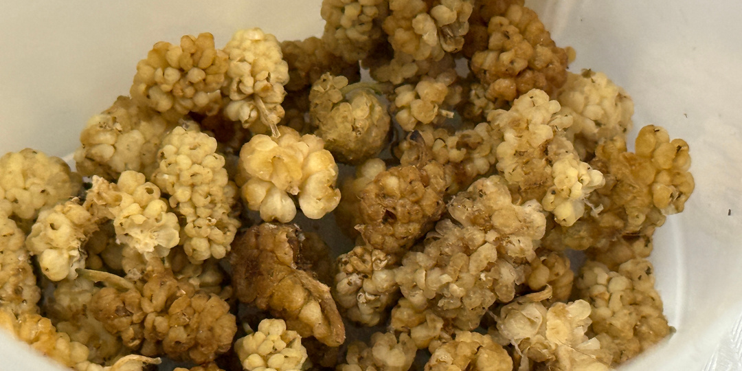 Мои самые странные покупки с маркетплейсов: вкуснота, которую покупаю постоянно и никаких денег не жалко