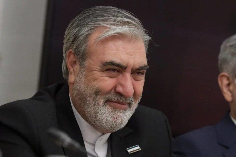    Ибрахим Азизи / Источник: © Комитет Государственной Думы по международным делам