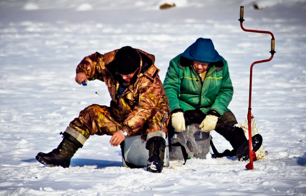 фото из открытых источников