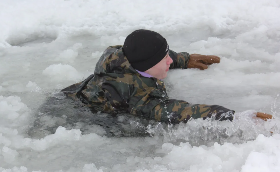 фото из открытых источников