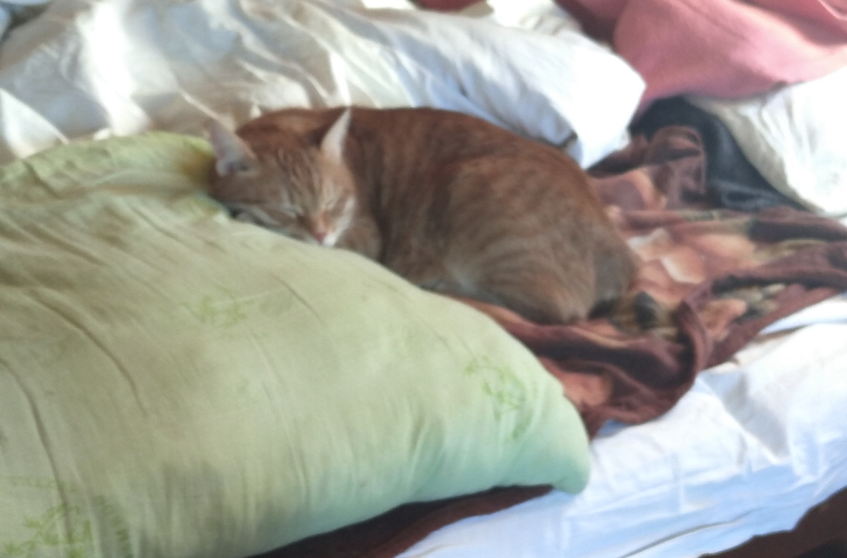 личное фото