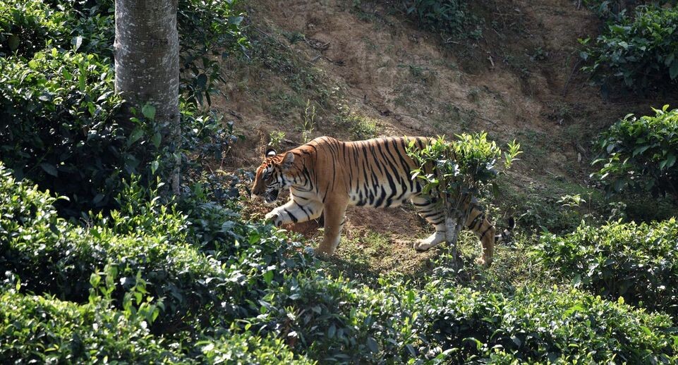    Javed Dar / www.globallookpress.com