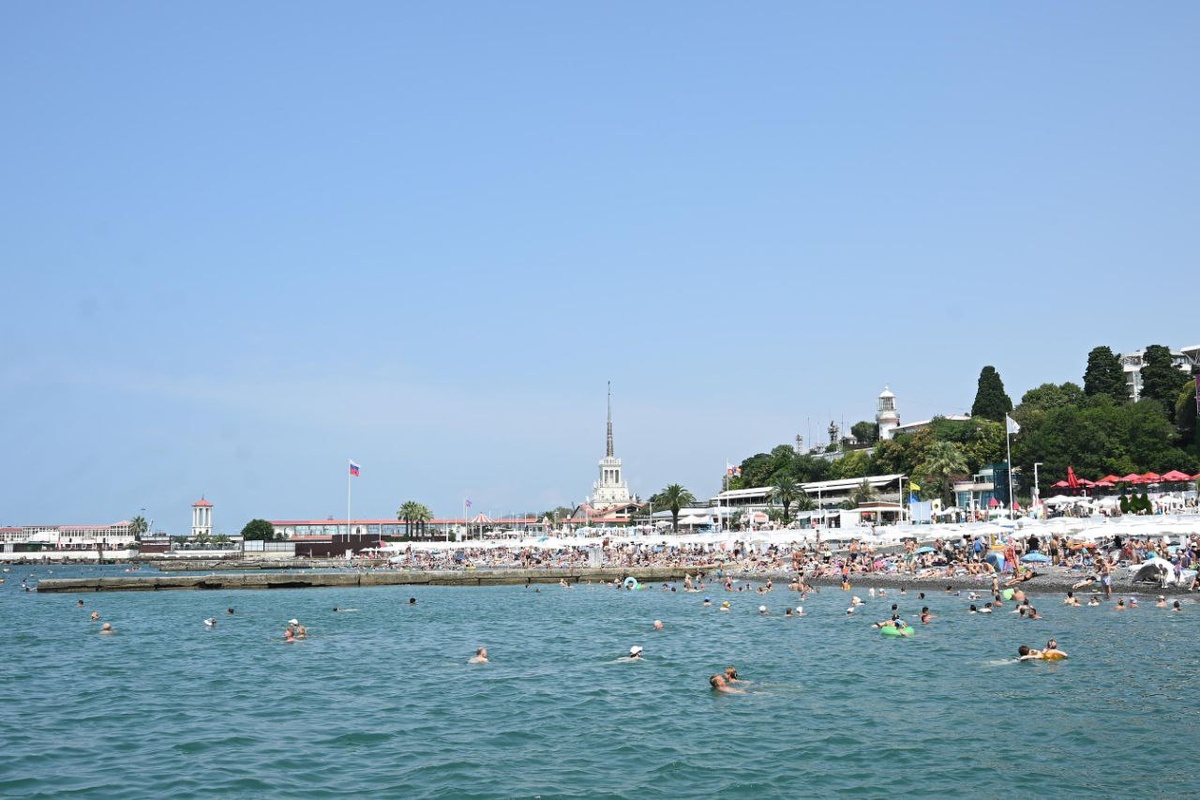    Фото: Telegram/Сочи Официальный