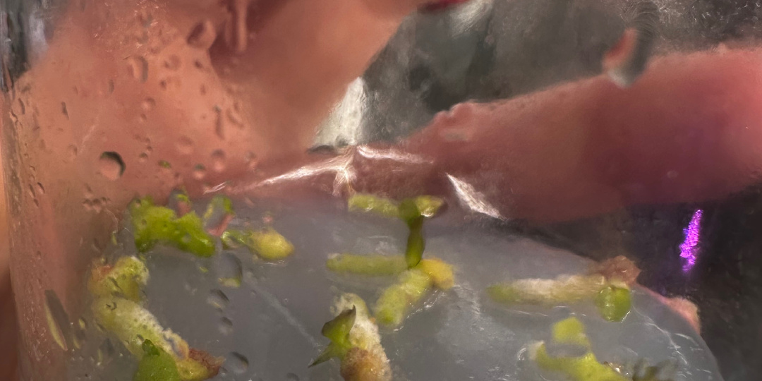 Вот они мои труды!