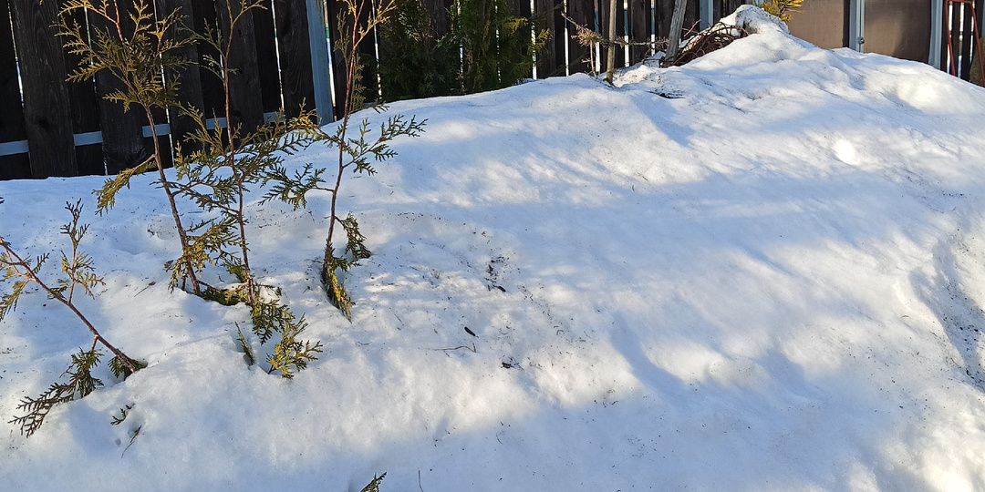 Середина марта. Апрельское тепло