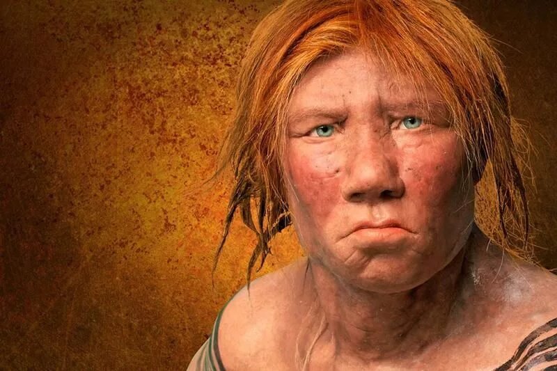 Изображение из открытых источников.