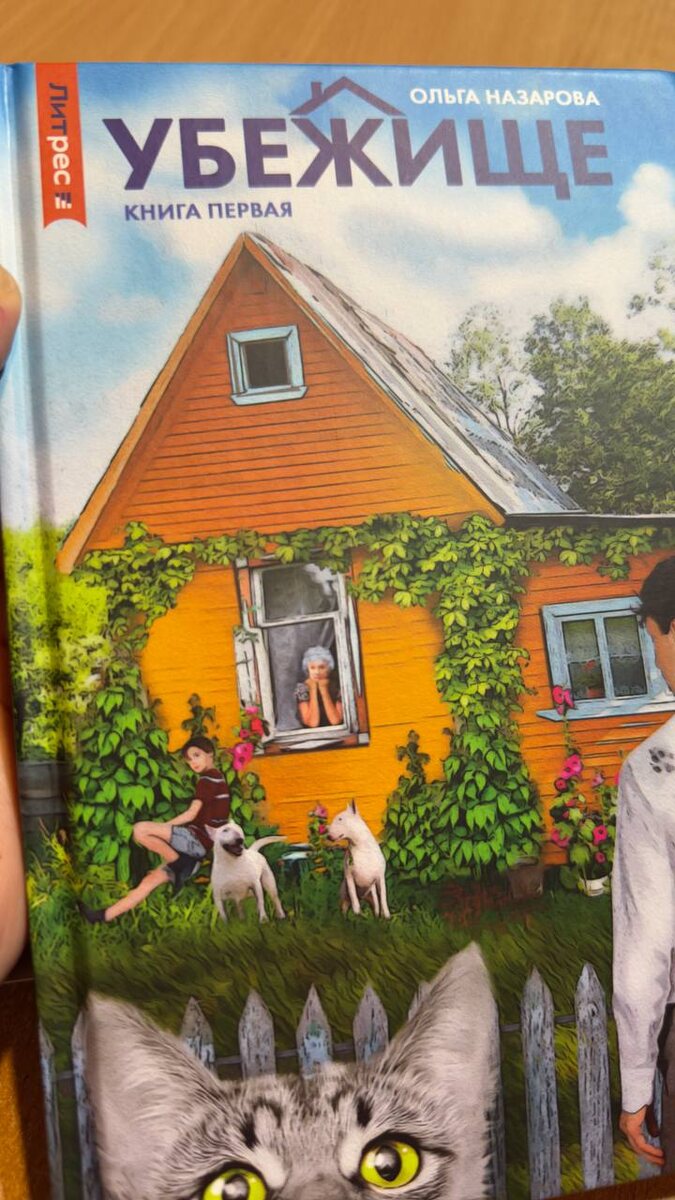 Удивительная книга 