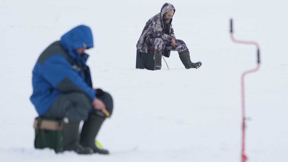    Фото: ИЗВЕСТИЯ/Дмитрий Коротаев