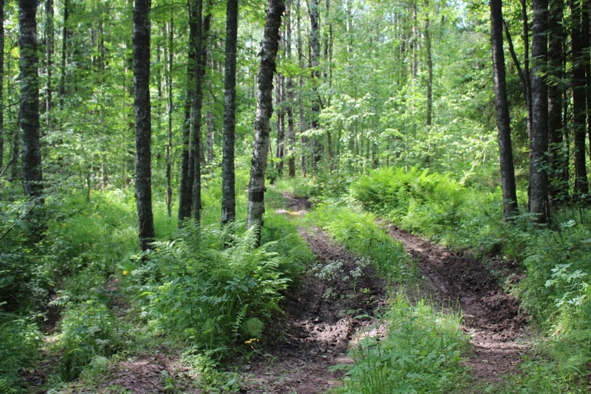 Изображение с сайта ru-travel.livejournal.com