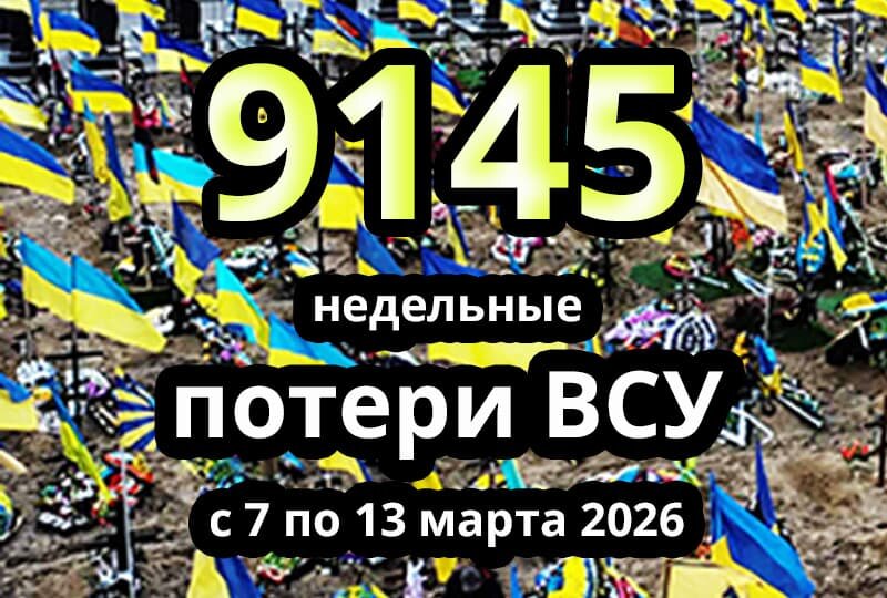    Недельные потери ВСУ