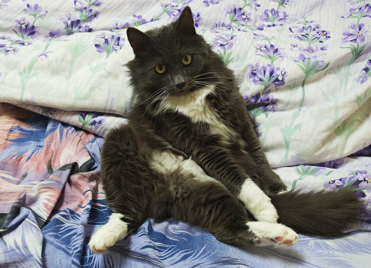 Фото автора канала.