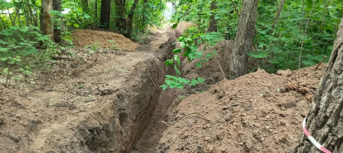 Изображение с сайта ulpressa.ru