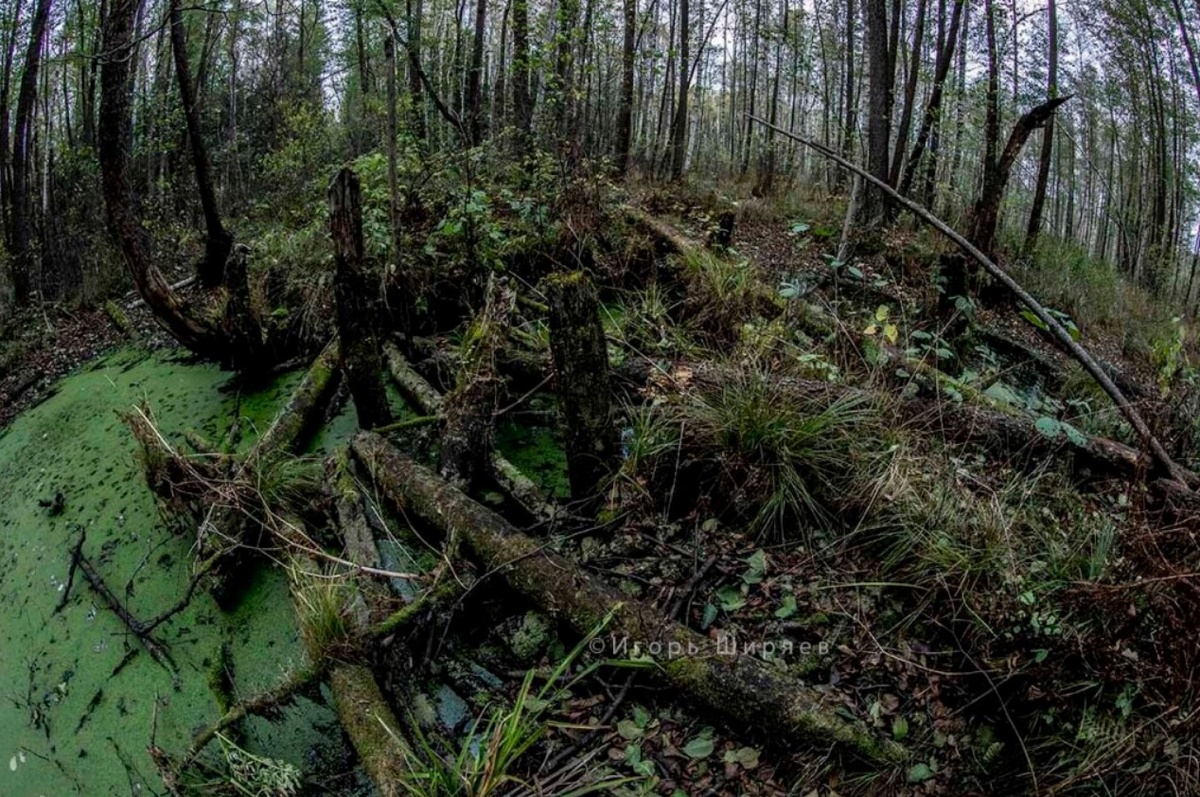 Изображение с сайта www.9111.ru