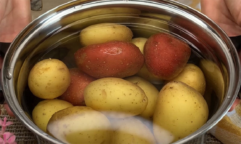 Картофельный пирог без теста: простой рецепт с беконом и сыром для сытного семейного ужина