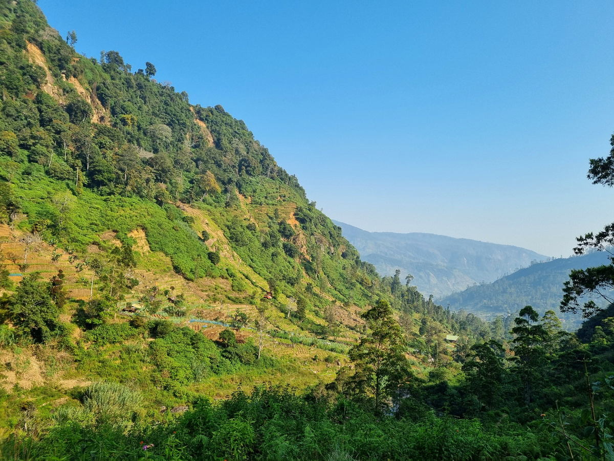 Фото автора статьи.